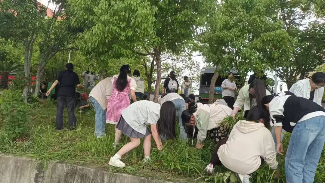 微信图片_20250610143043.jpg